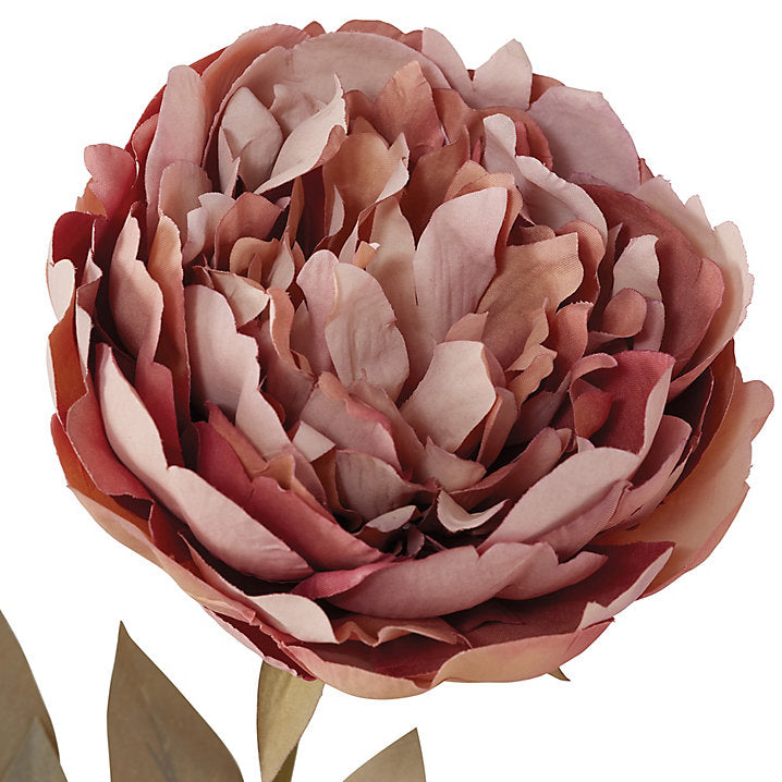 Ballard Designs Peony Stem - Pink