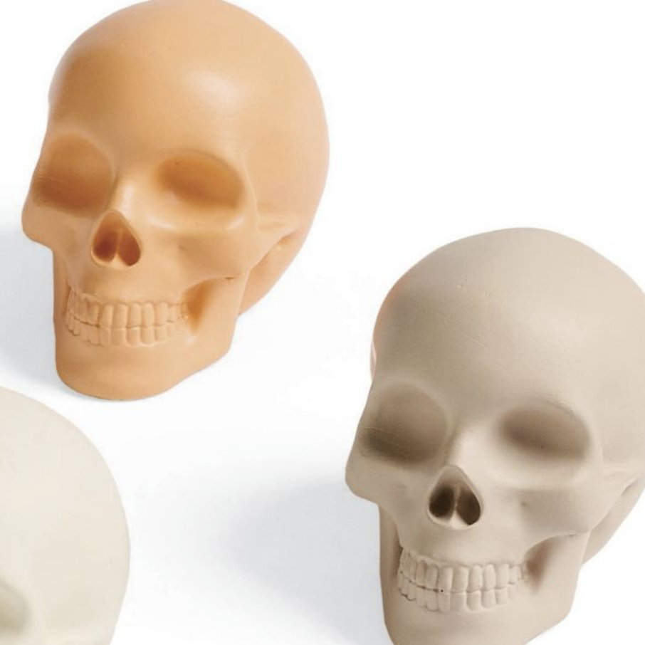 Grandin Road Skulls Bowl Filler, Set of Five