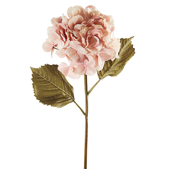 Ballard Designs Hydrangea Stem - Blush