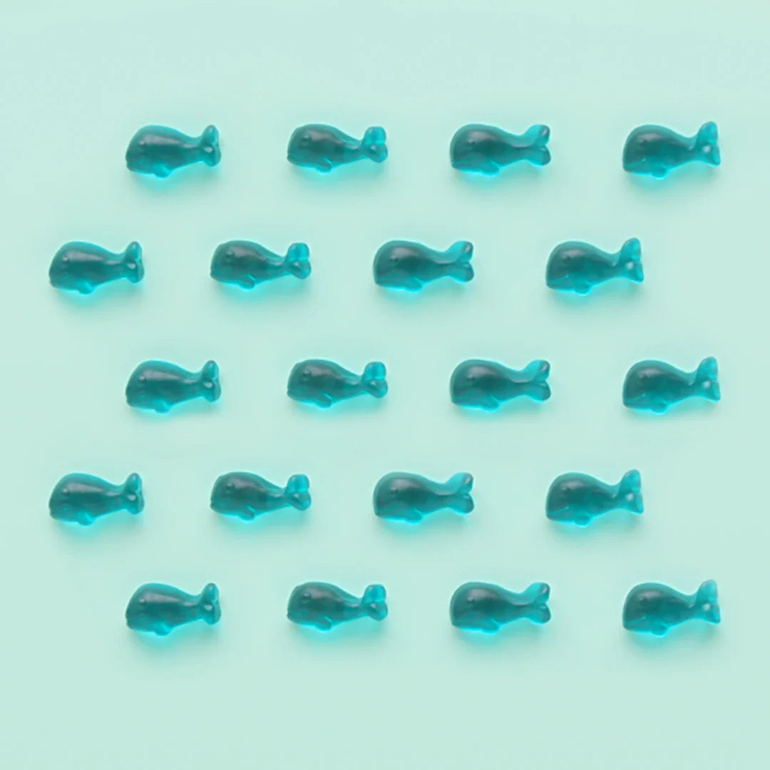 Sugarfina Baby Whales Blueberry Gummy - Small Candy Cube (x4)