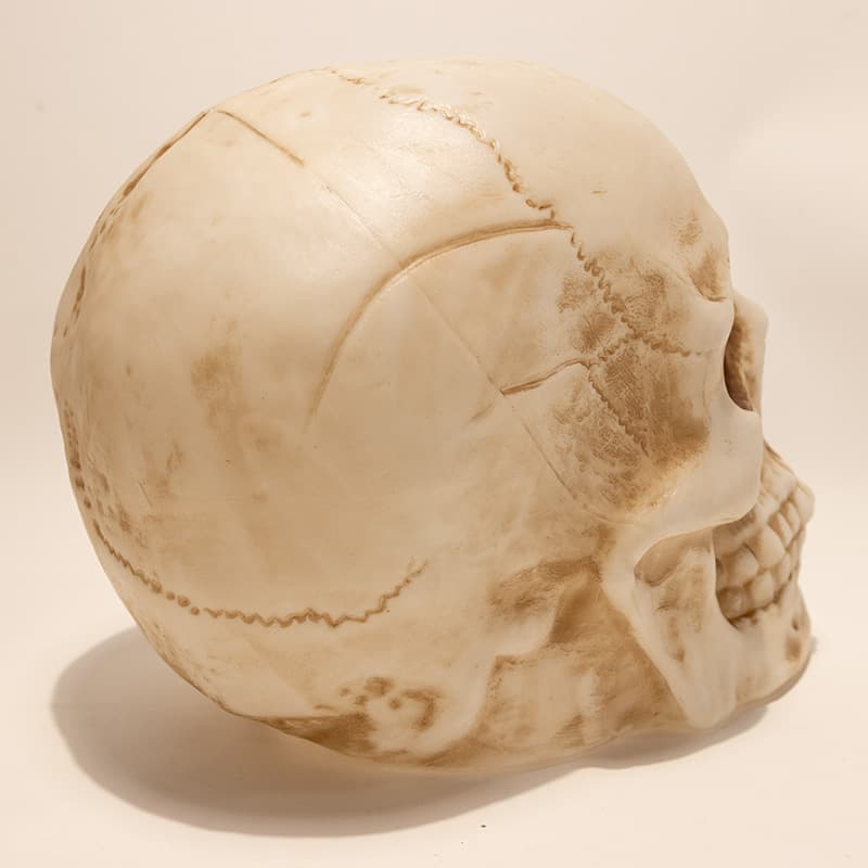Cracker Barrel Skull Blow Mold
