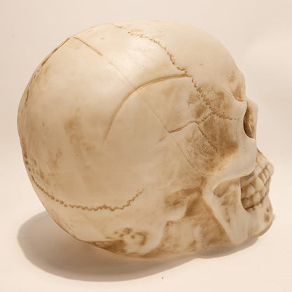 Cracker Barrel Skull Blow Mold