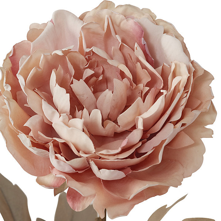 Ballard Designs Peony Stem -  Blush