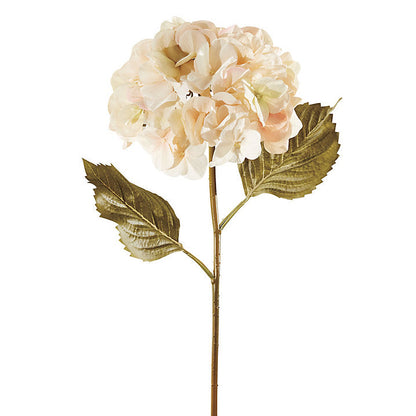 Ballard Designs Hydrangea Stem - Cream