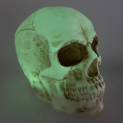 Cracker Barrel Skull Blow Mold