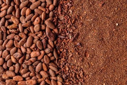 Crio Bru Mocha - Light Roast