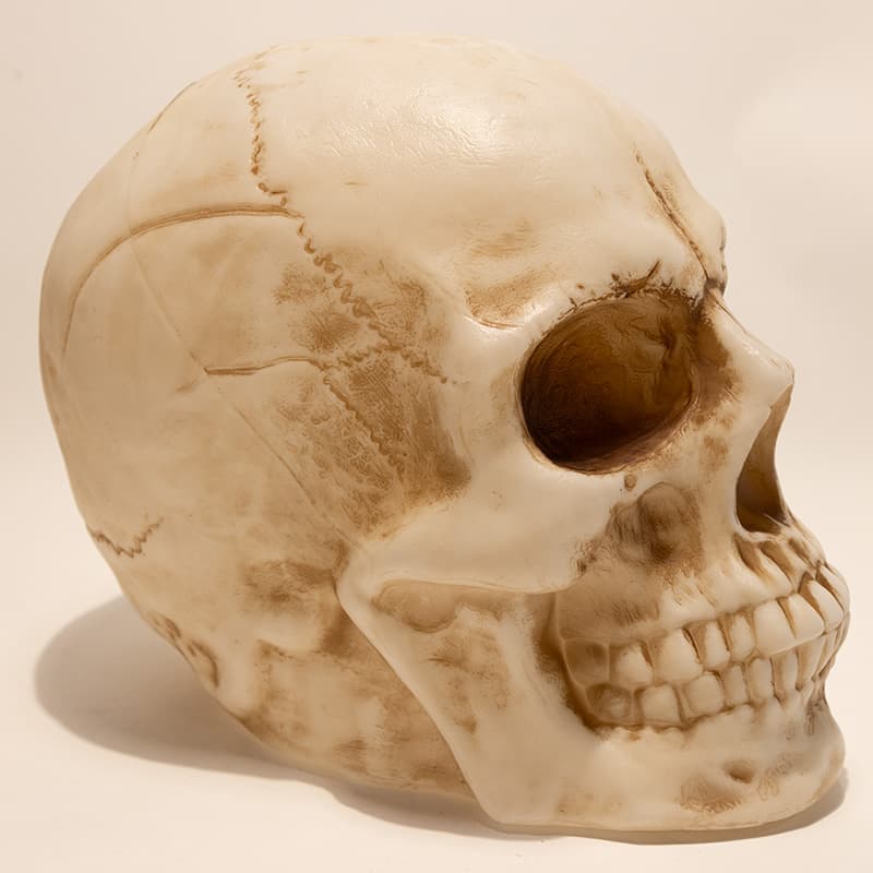 Cracker Barrel Skull Blow Mold