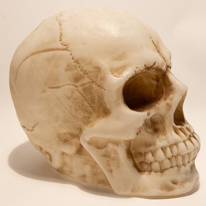Cracker Barrel Skull Blow Mold