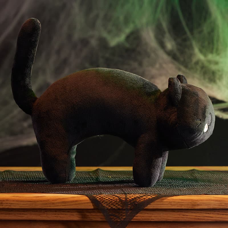 Cracker Barrel Willow Black Scaredy Cat Plush