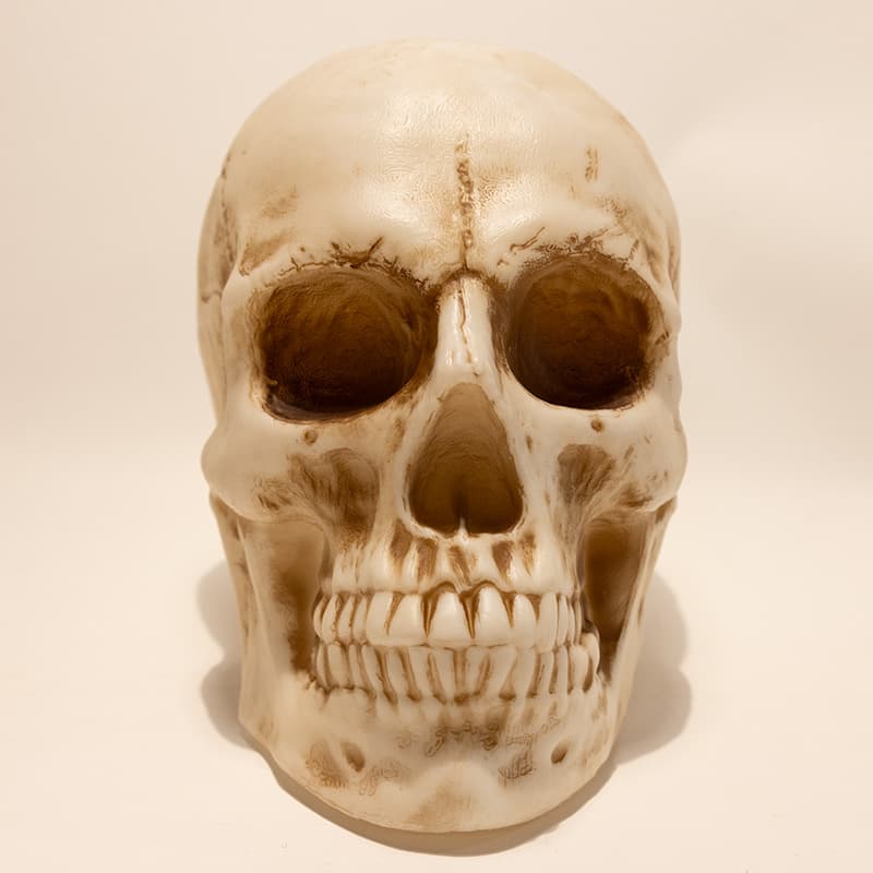 Cracker Barrel Skull Blow Mold