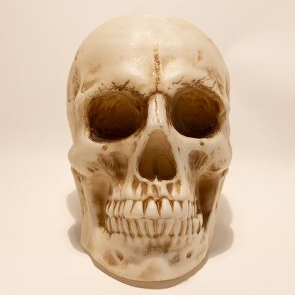 Cracker Barrel Skull Blow Mold