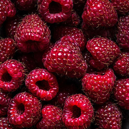 Bramble Berry Black Raspberry Vanilla Fragrance Oil
