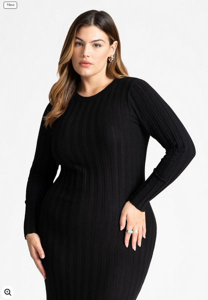 ELOQUII Women's Colorblocked Sweater Dress