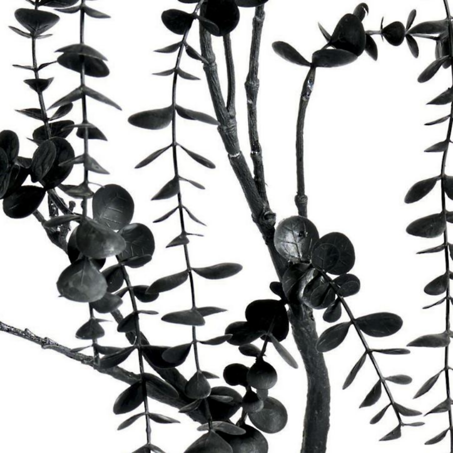 Grandin Road Dramatic Halloween Branch, Set of Two