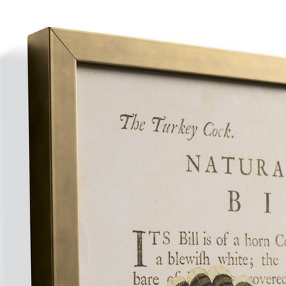 Grandin Road Framed Turkey Wall Art