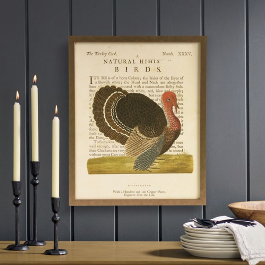 Grandin Road Framed Turkey Wall Art