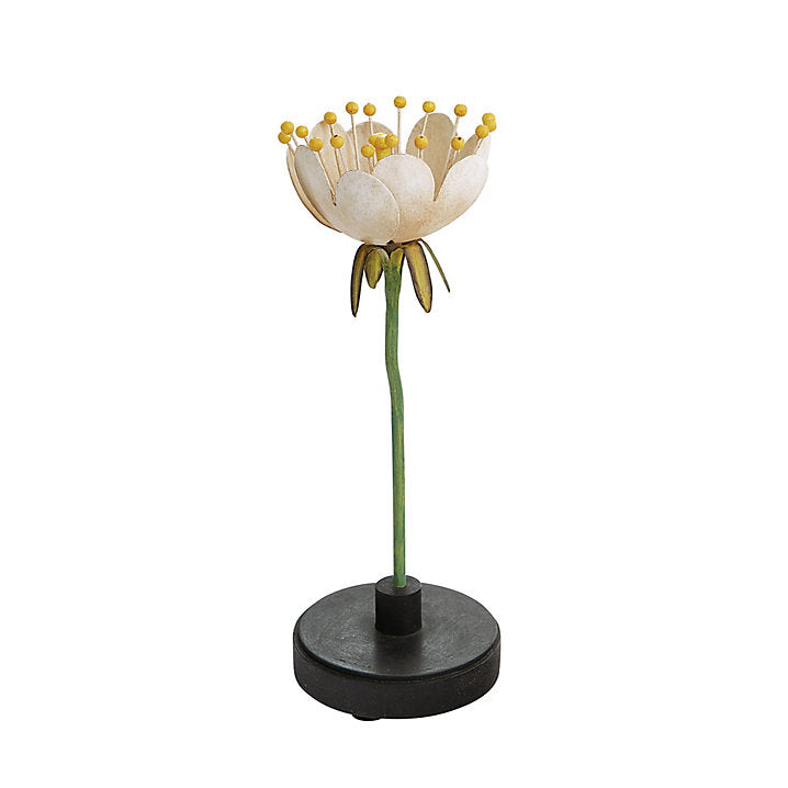 Ballard Designs Bunny Williams Floral Specimens - Floral I