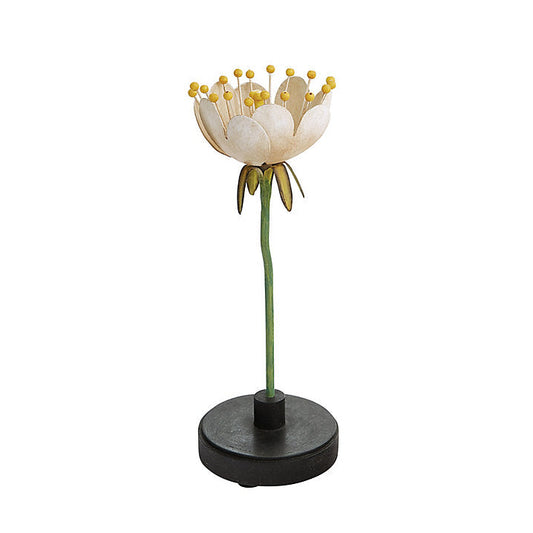 Ballard Designs Bunny Williams Floral Specimens - Floral I