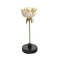 Ballard Designs Bunny Williams Floral Specimens - Floral I
