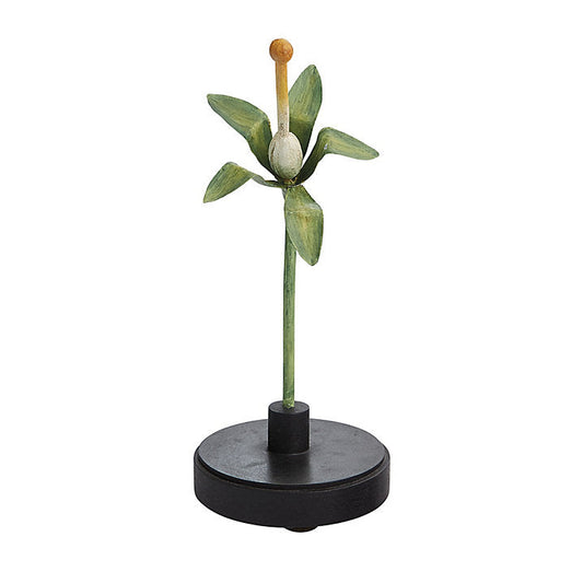 Ballard Designs Bunny Williams Floral Specimens - Floral IV