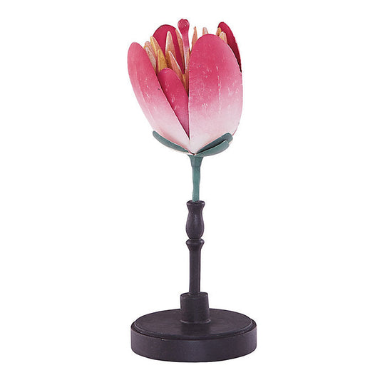 Ballard Designs Bunny Williams Floral Specimens - Floral VI
