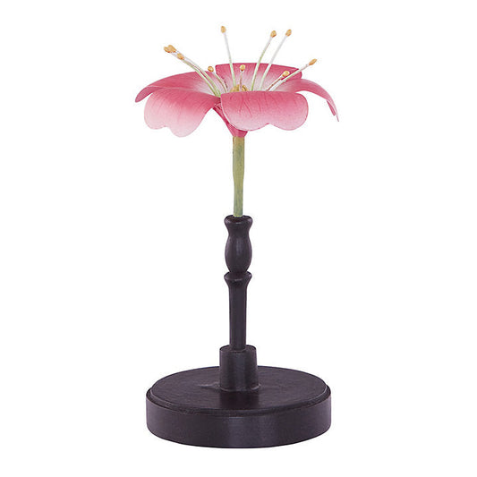 Ballard Designs Bunny Williams Floral Specimens - Floral VII