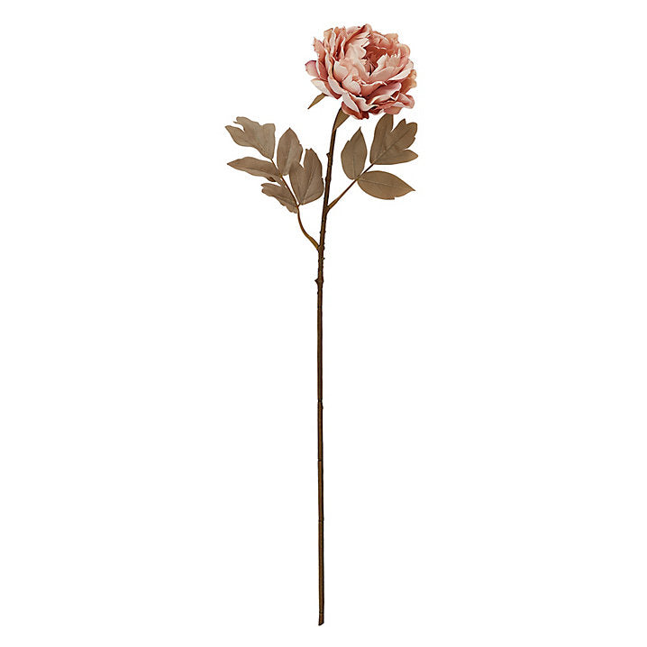 Ballard Designs Peony Stem -  Blush