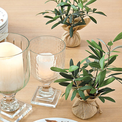 Ballard Designs Olive Branches in Burlap