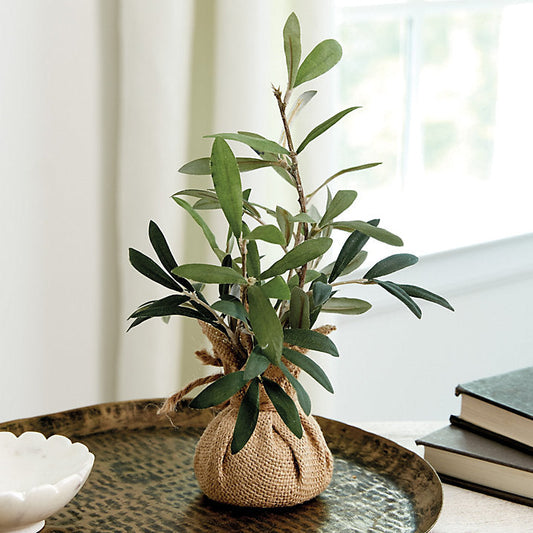 Ballard Designs Olive Branches in Burlap