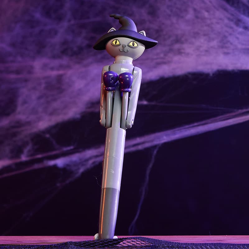 Cracker Barrel Cat with Witch Hat Boxing Pen