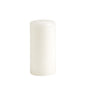 Ballard Designs Essential Candle - Pillar