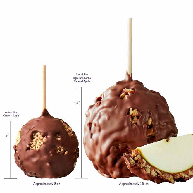 Mrs Prindables Milk Chocolate Walnut Pecan Thank You Jumbo Caramel Apple